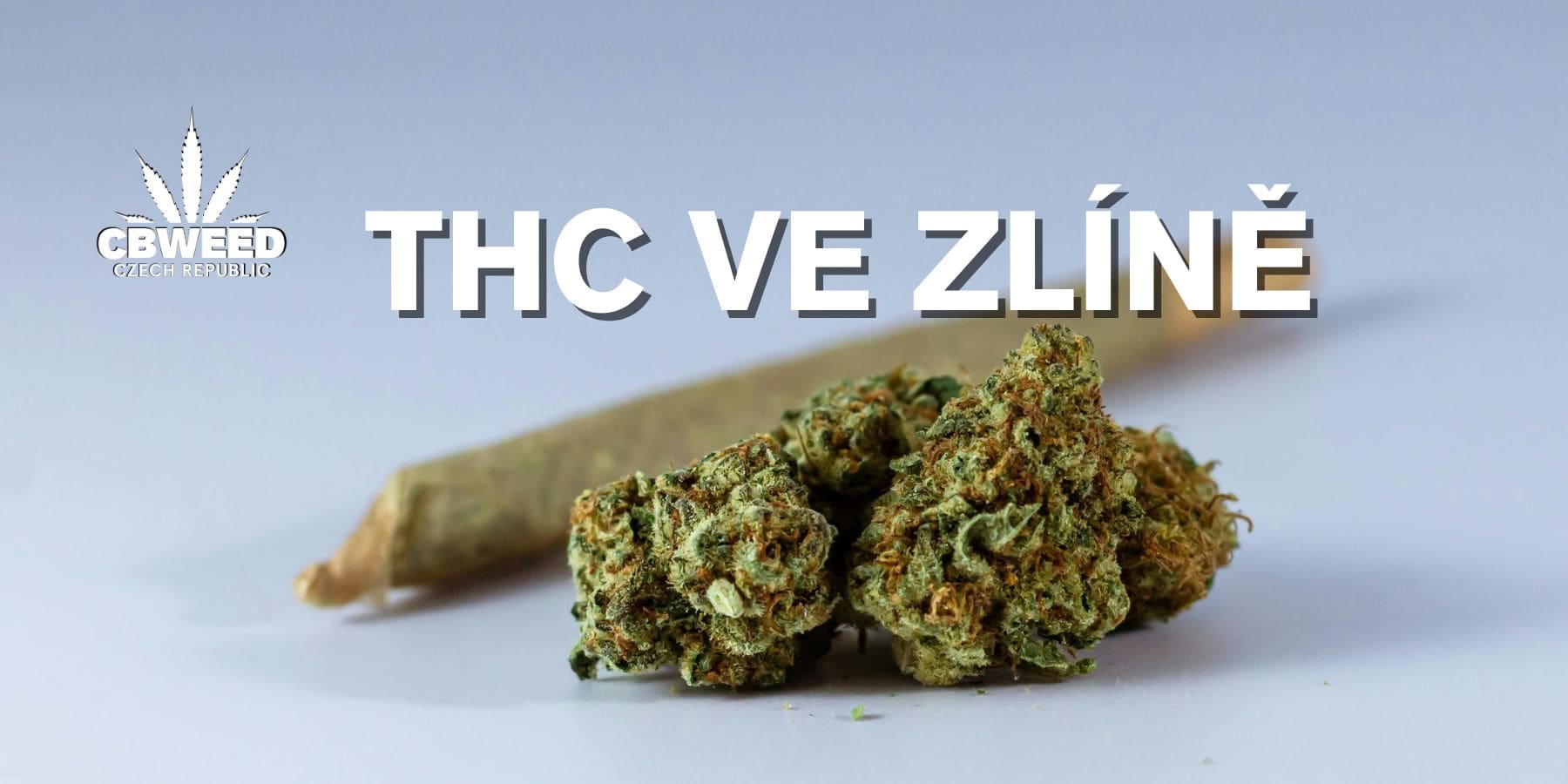 thc-zlin